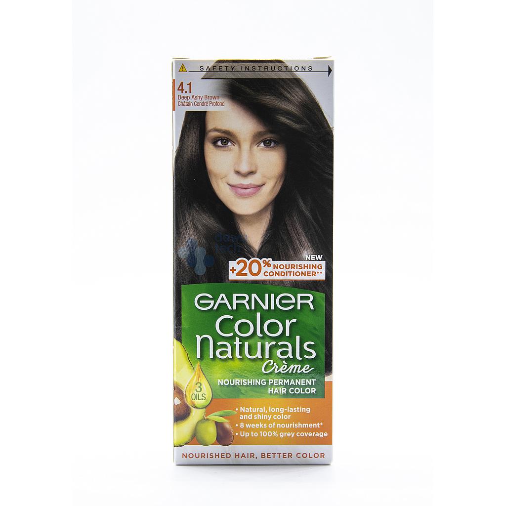 Garnier Hair Color Tub 4.1